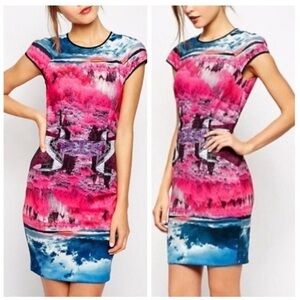 NWT Ted Baker Ismay Road to Nowhere Stretch Dress Sz 8